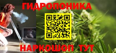 прущая мука Будённовск