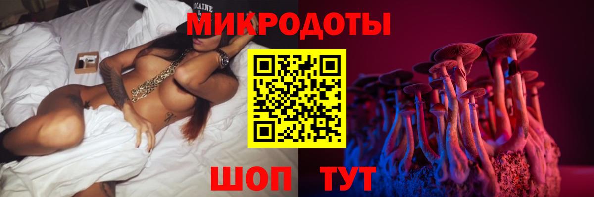 Кропоткин  Псилоцибиновые грибы прущие грибы  Вход с VPN 